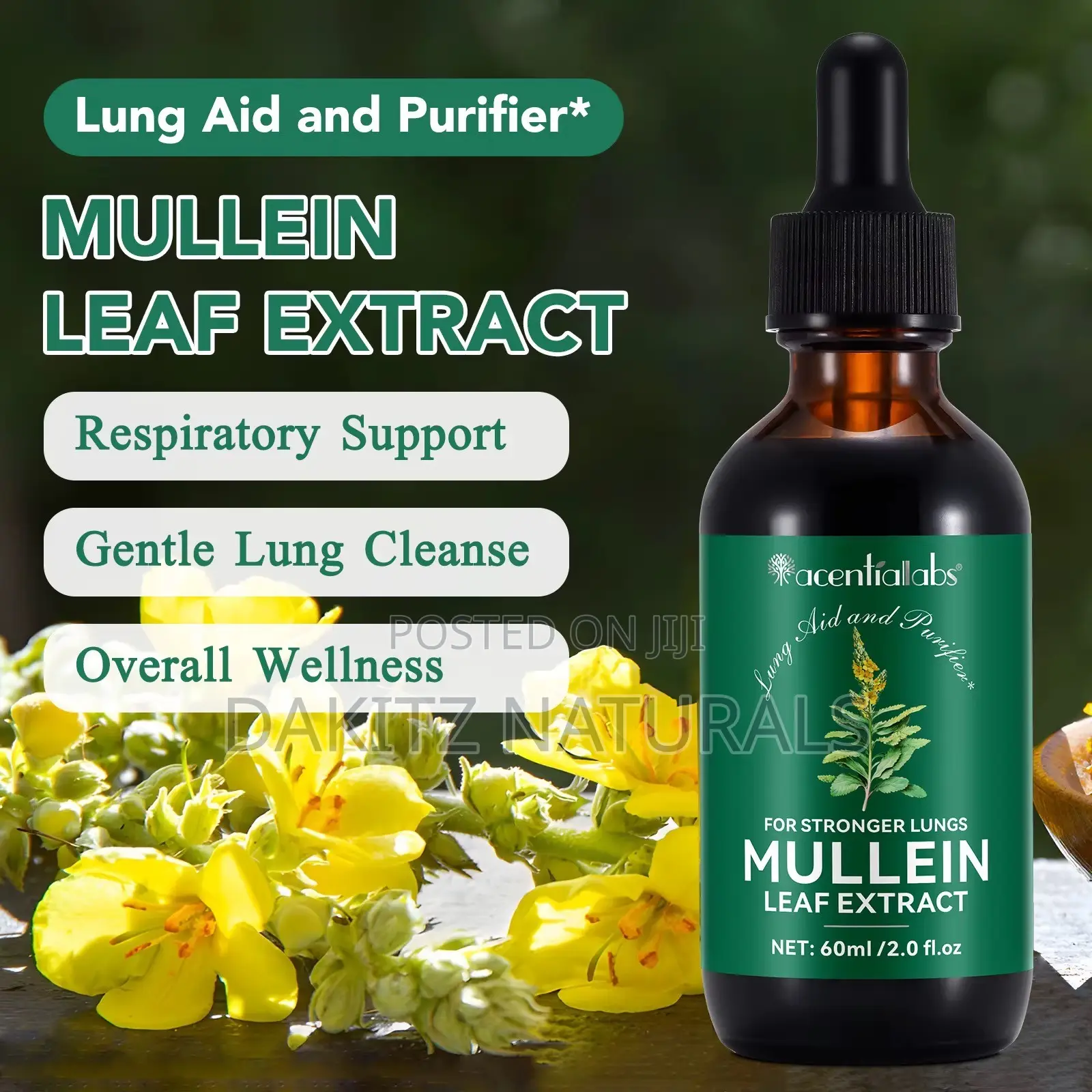 Mullein Leaf Extract Liquid Drop