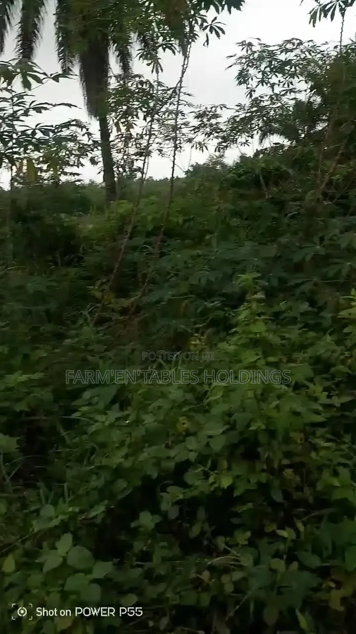 50 Acres of Land Available at Ijaye, Akinyele Local Goverment