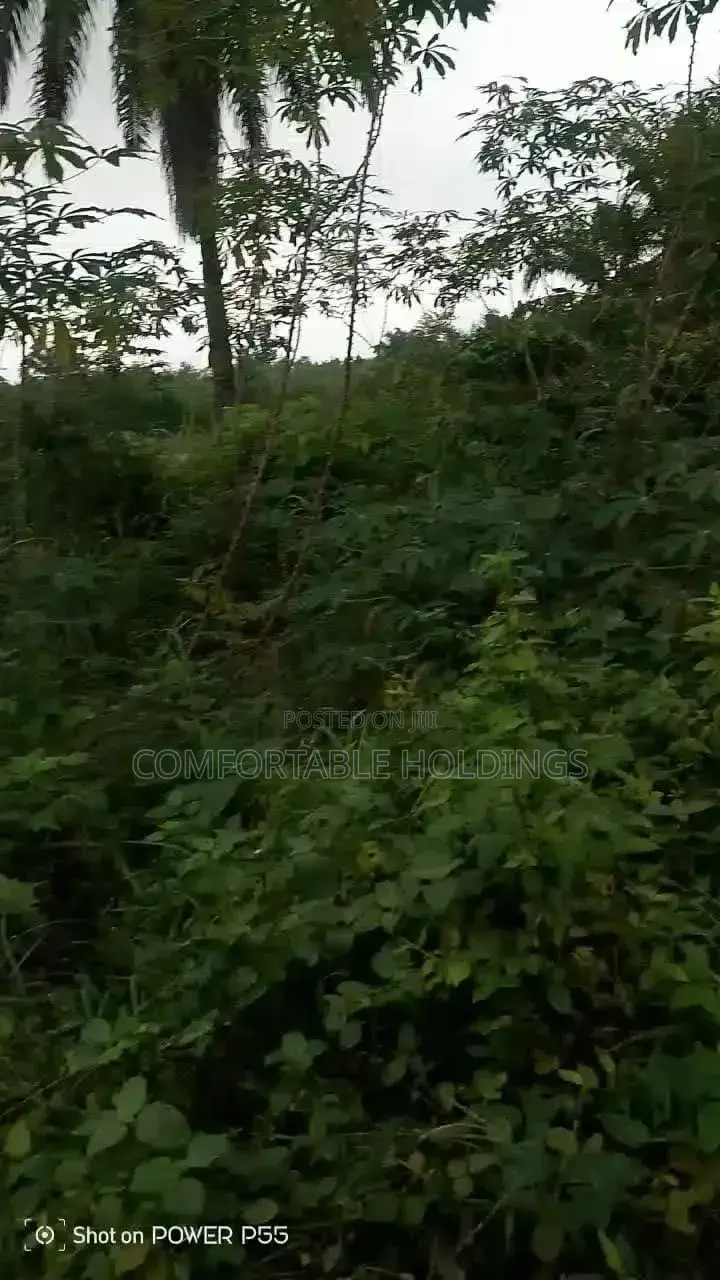 50 Acres of Land Available at Ijaye, Akinyele Local Goverment