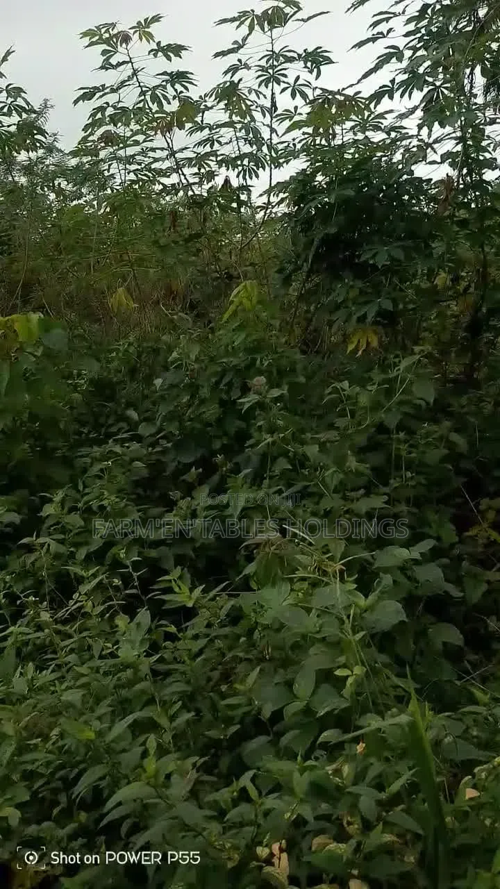 50 Acres of Land Available at Ijaye, Akinyele Local Goverment