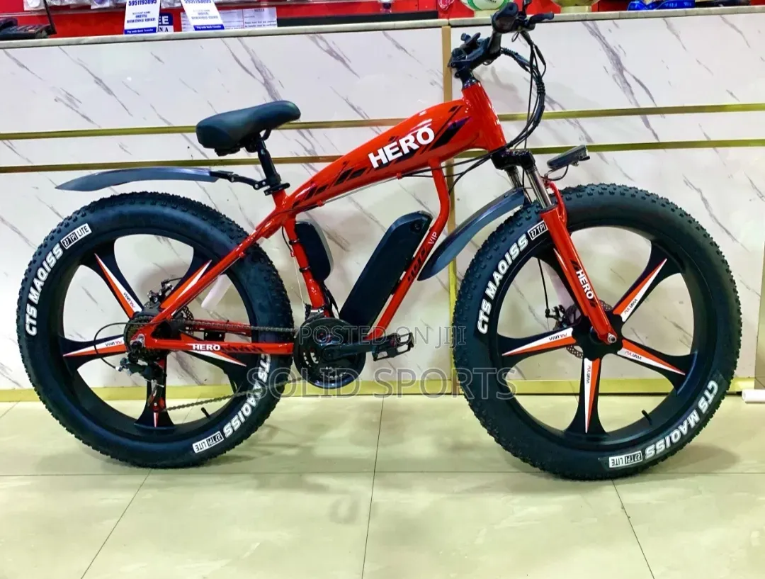 Brand New Original Electric Bicycle Big Tire