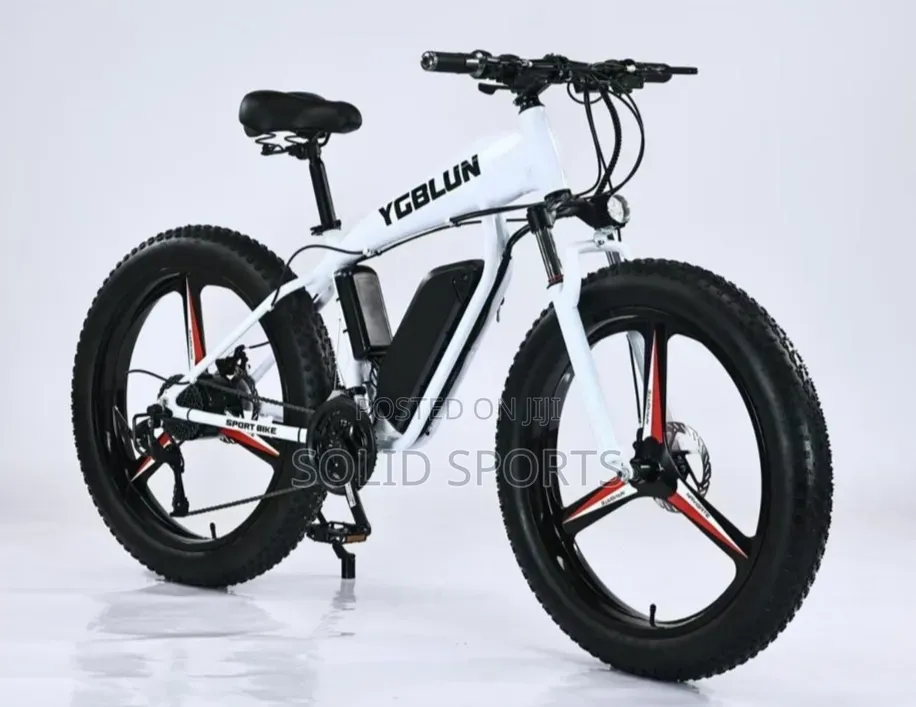 Brand New Original Electric Bicycle Big Tire
