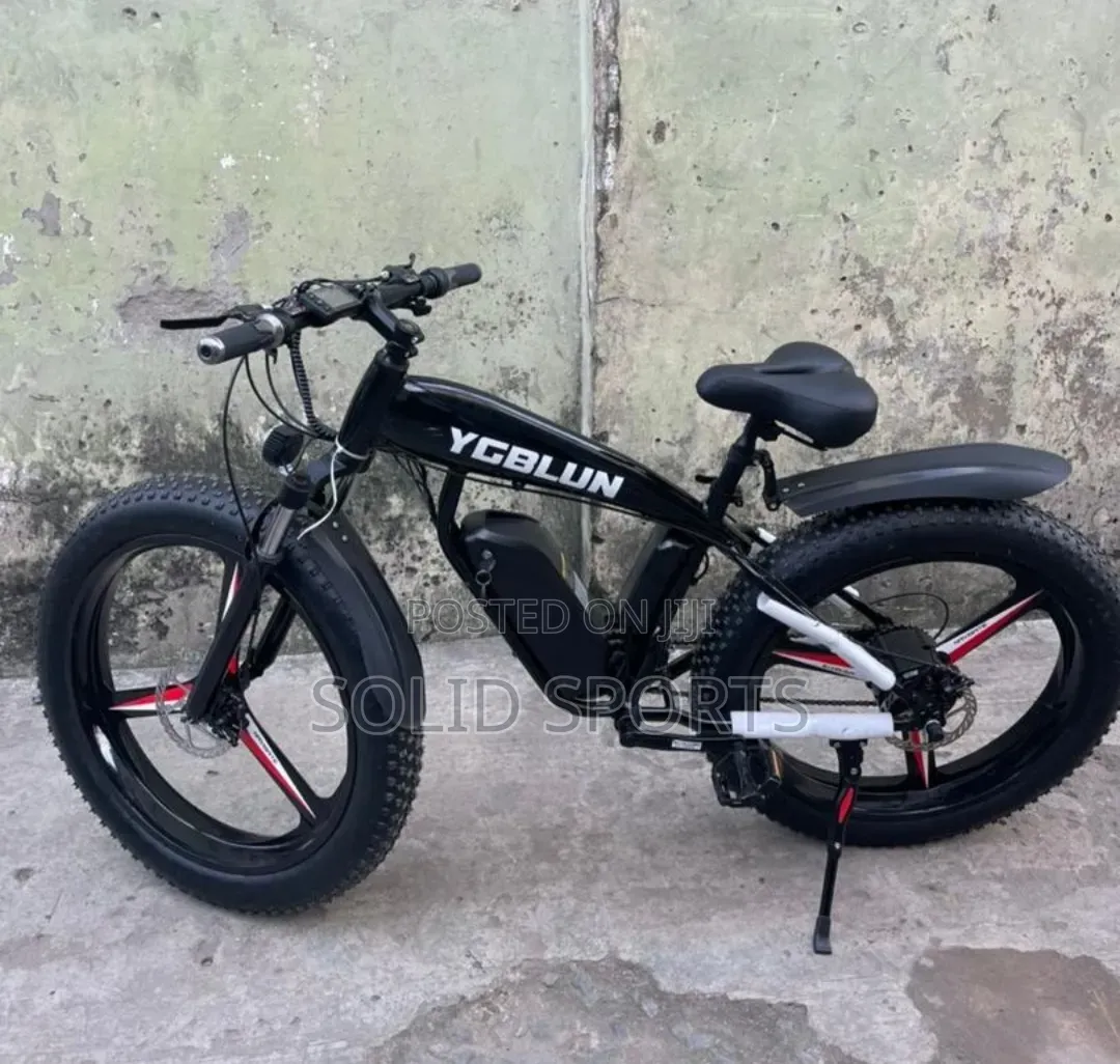 Brand New Original Electric Bicycle Big Tire