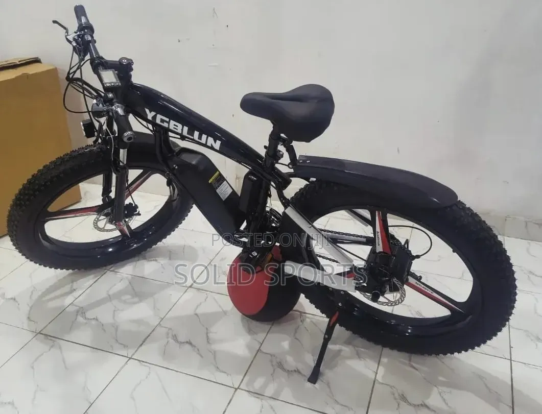 Brand New Original Electric Bicycle Big Tire