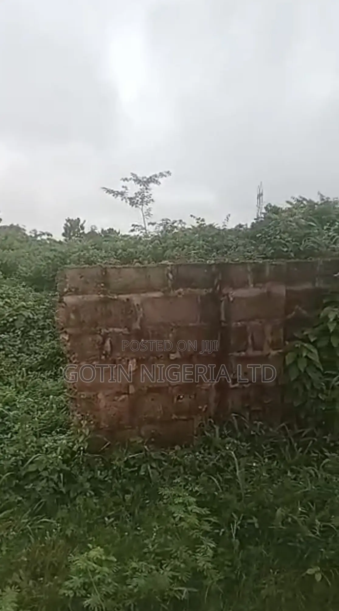 Fenced 50×100ft Land at Film House Road, Ugbowo – Distress Sale