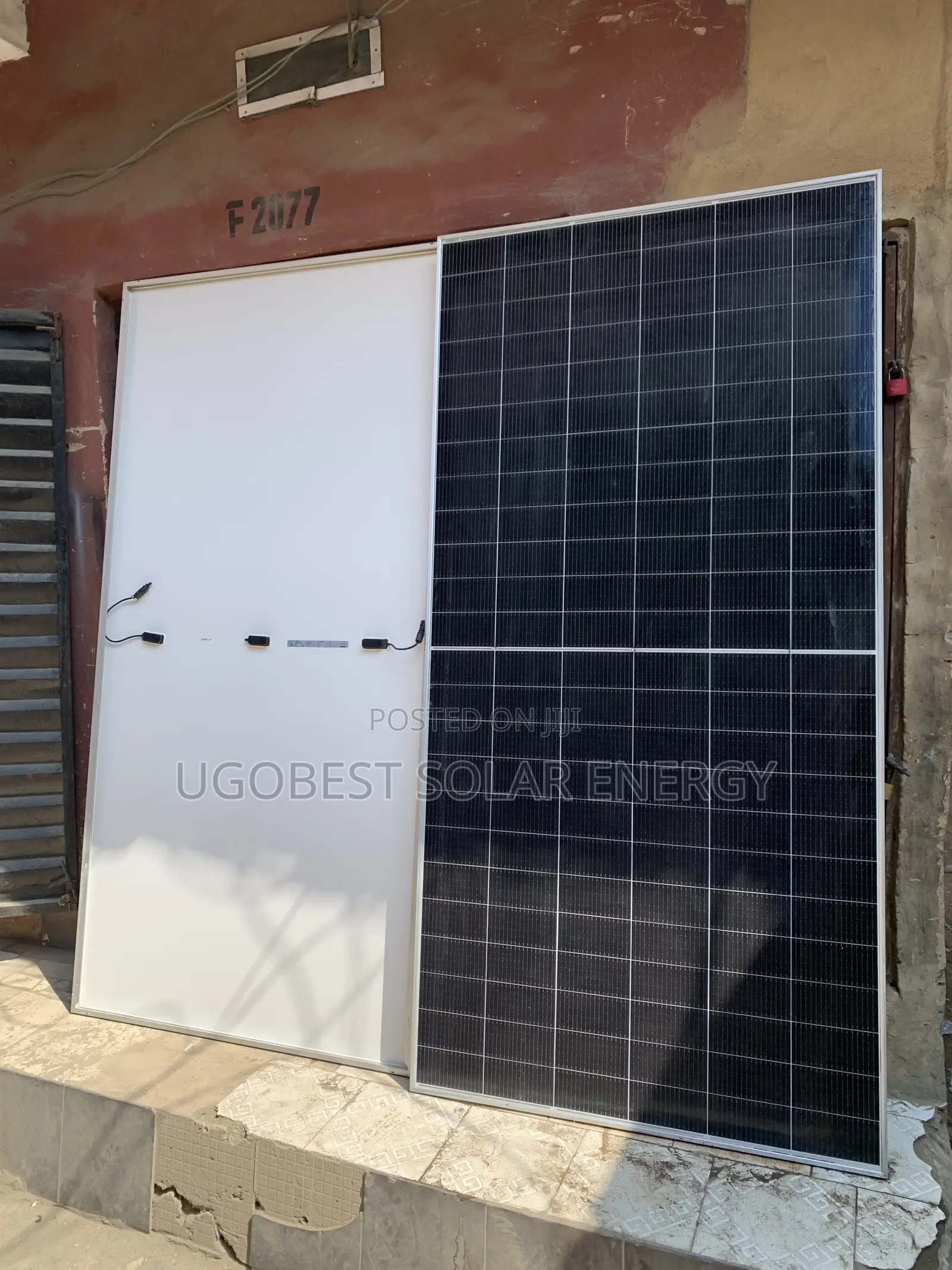 650watts 144cells Jinko Solar Panel