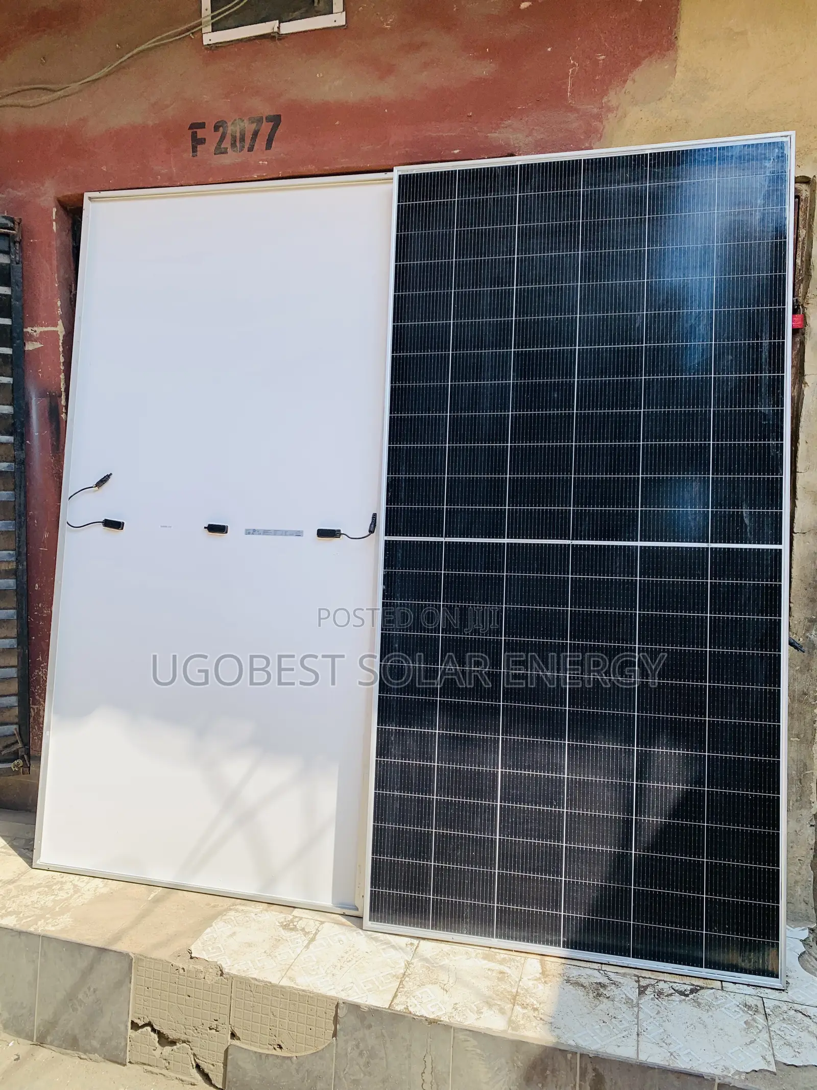 650watts 144cells Jinko Solar Panel