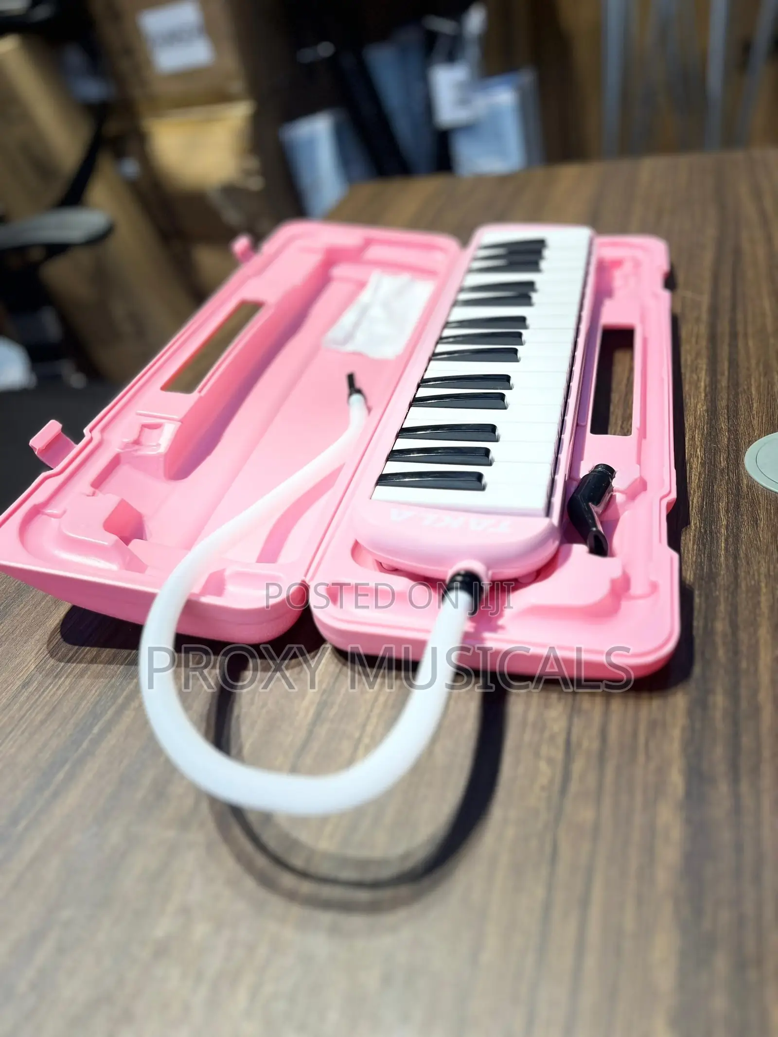 Brand New Portable Melodion Keyboard (Melodica)