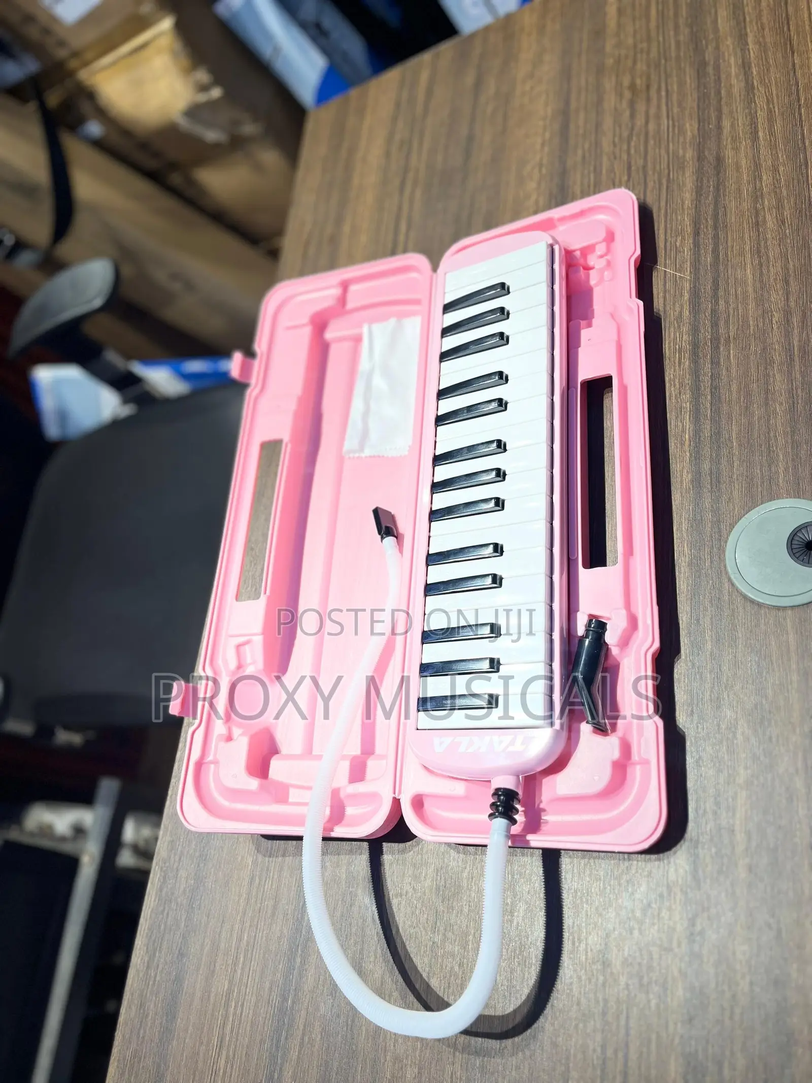 Brand New Portable Melodion Keyboard (Melodica)