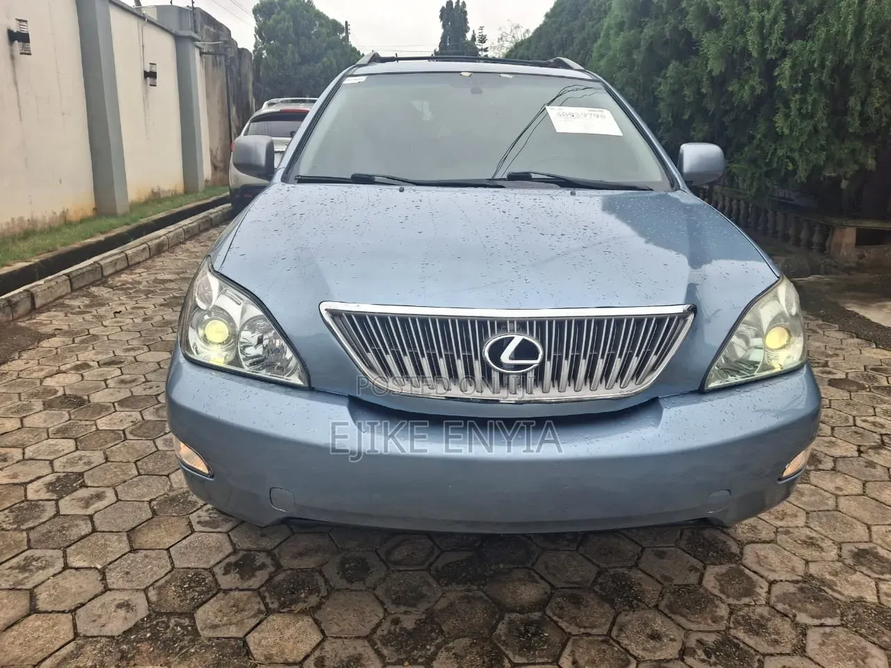 Lexus RX 2009 Blue