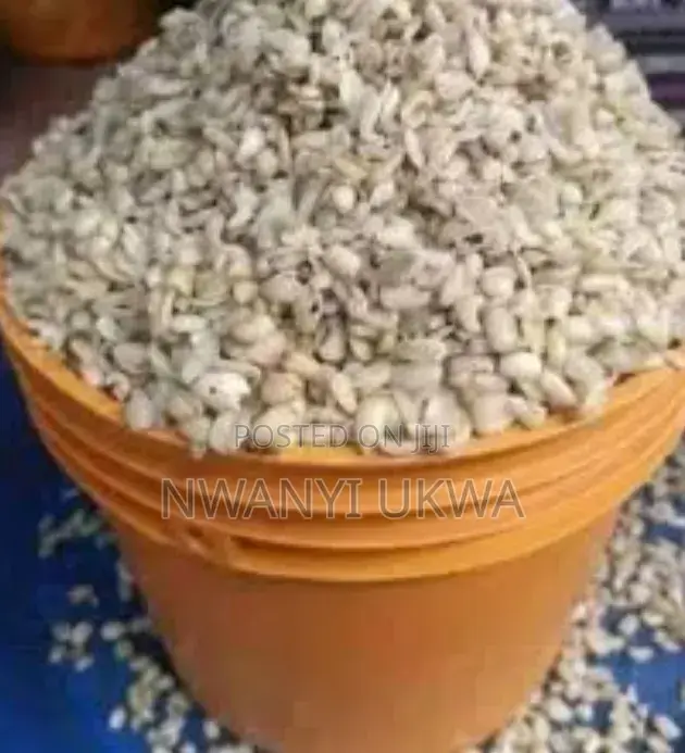 Ukwa (Breadfruit) 3kg