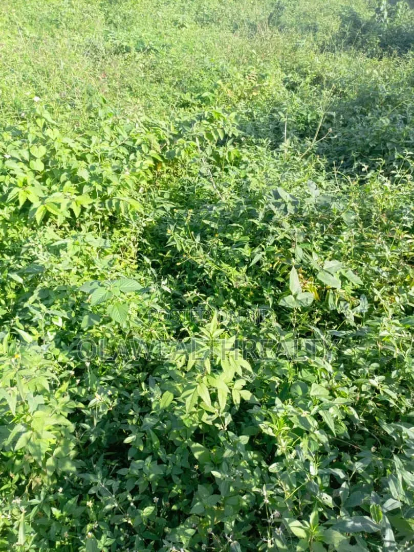 800sqm Residential Plot at Maitama Main
