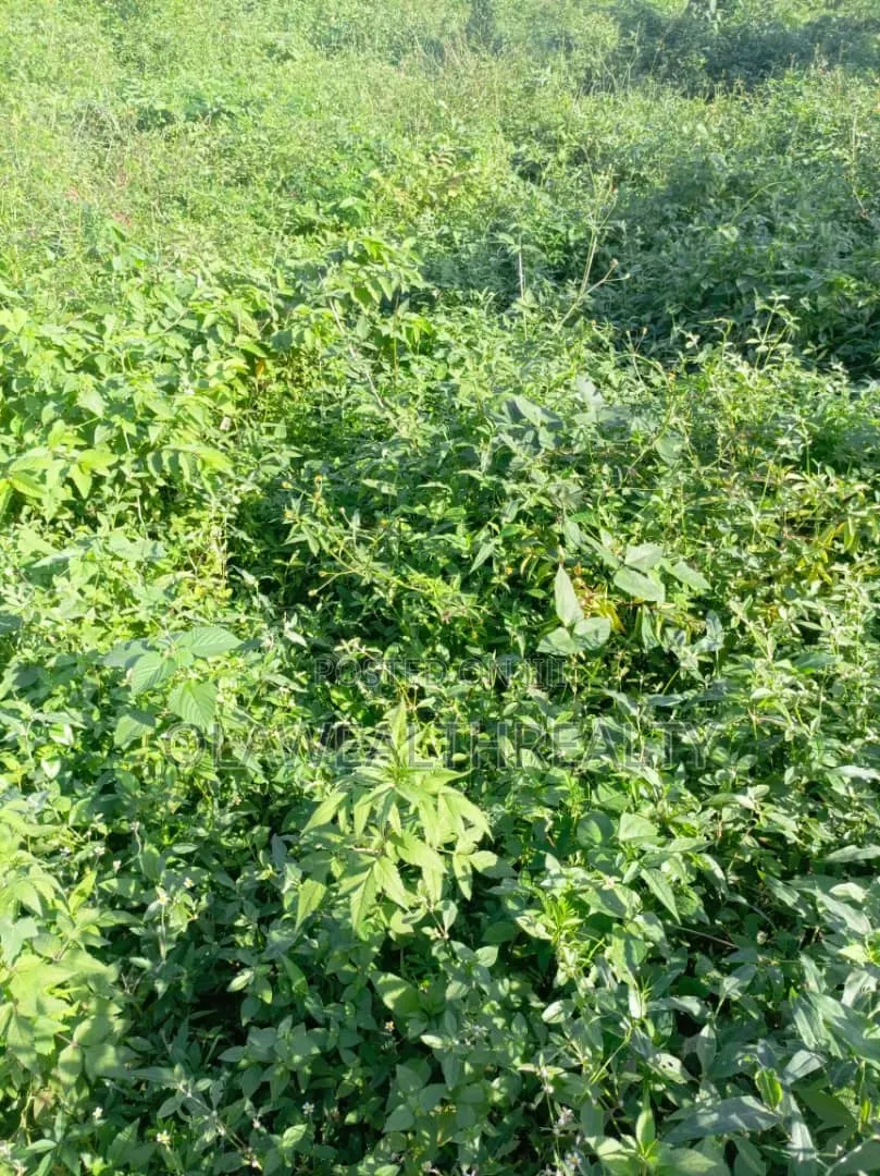 2,430sqm Residential Land at Maitama Main