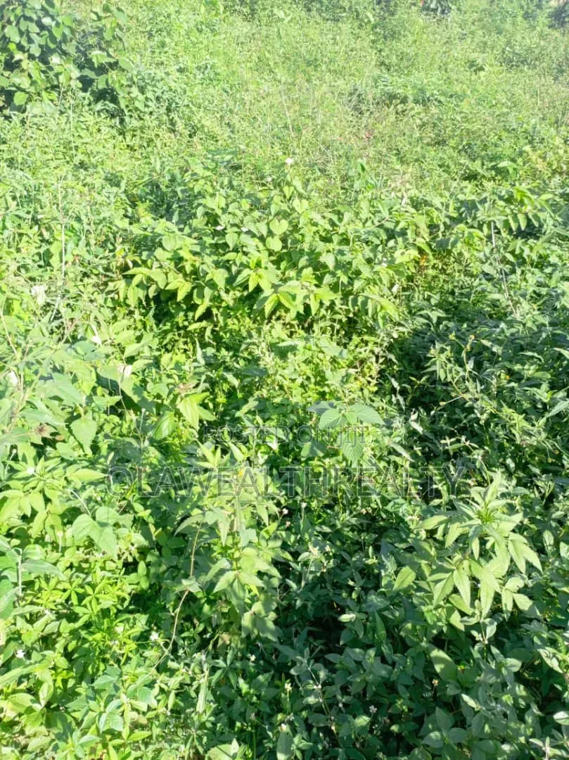 1,500sqm Residential Land at Maitama Main