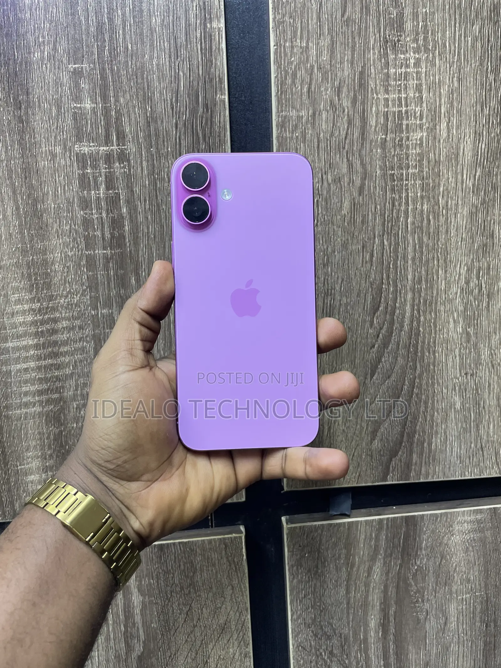 Apple iPhone 16 Plus 256 GB Pink