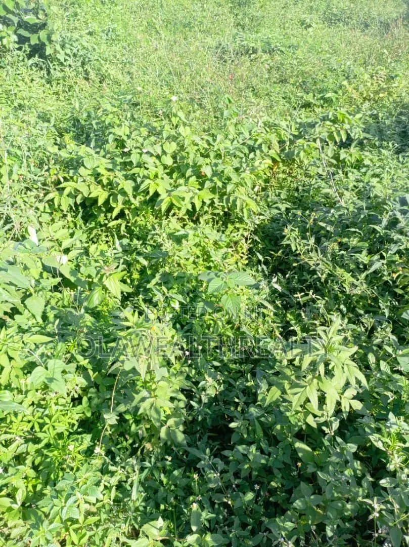 1,800sqm Residential Land at Maitama Main