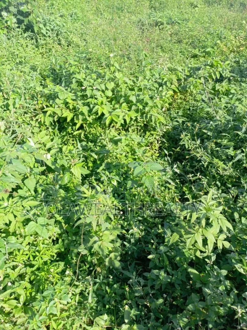 1,800sqm Residential Land at Maitama Main