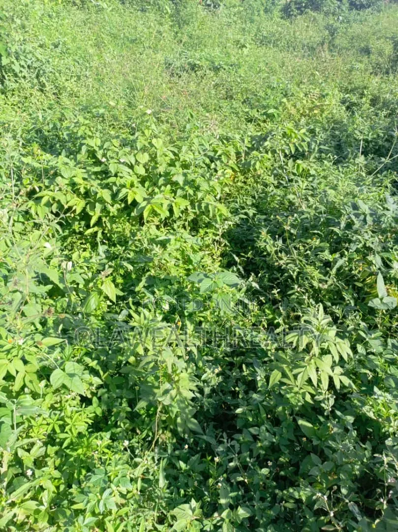 900sqm Residential Land at Maitama Main