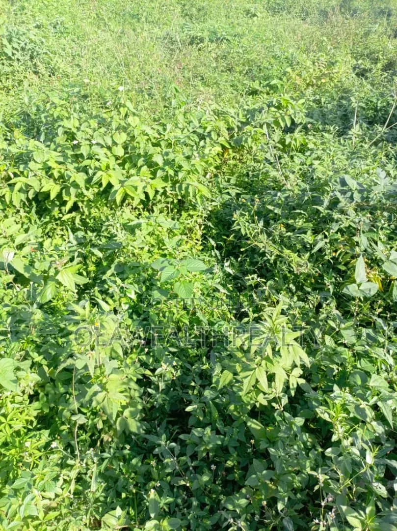1,300sqm Residential Land at Maitama Main