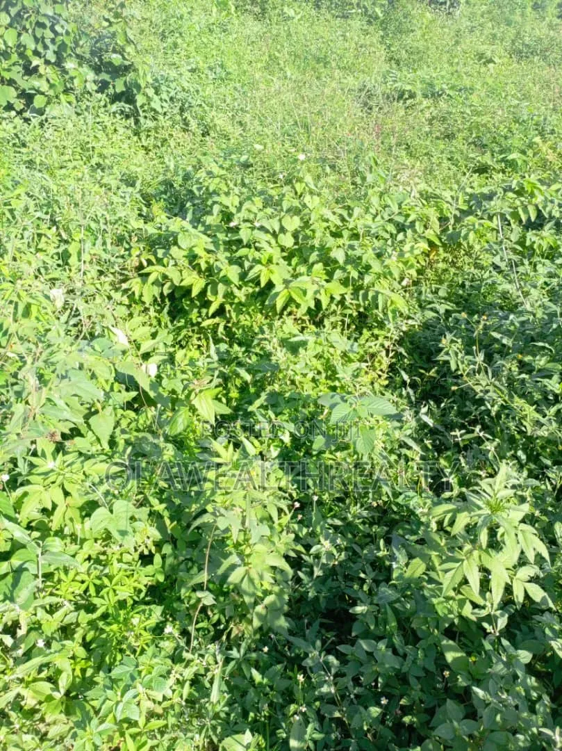 697sqm Residential Land at Katampe Main