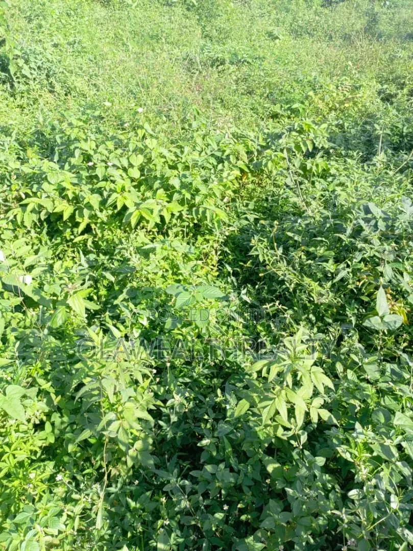 1,200sqm Residential Land at Wuye