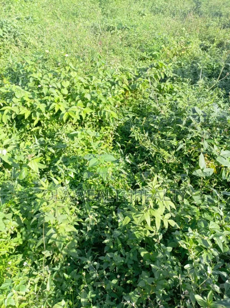 1,200sqm Residential Land at Wuye