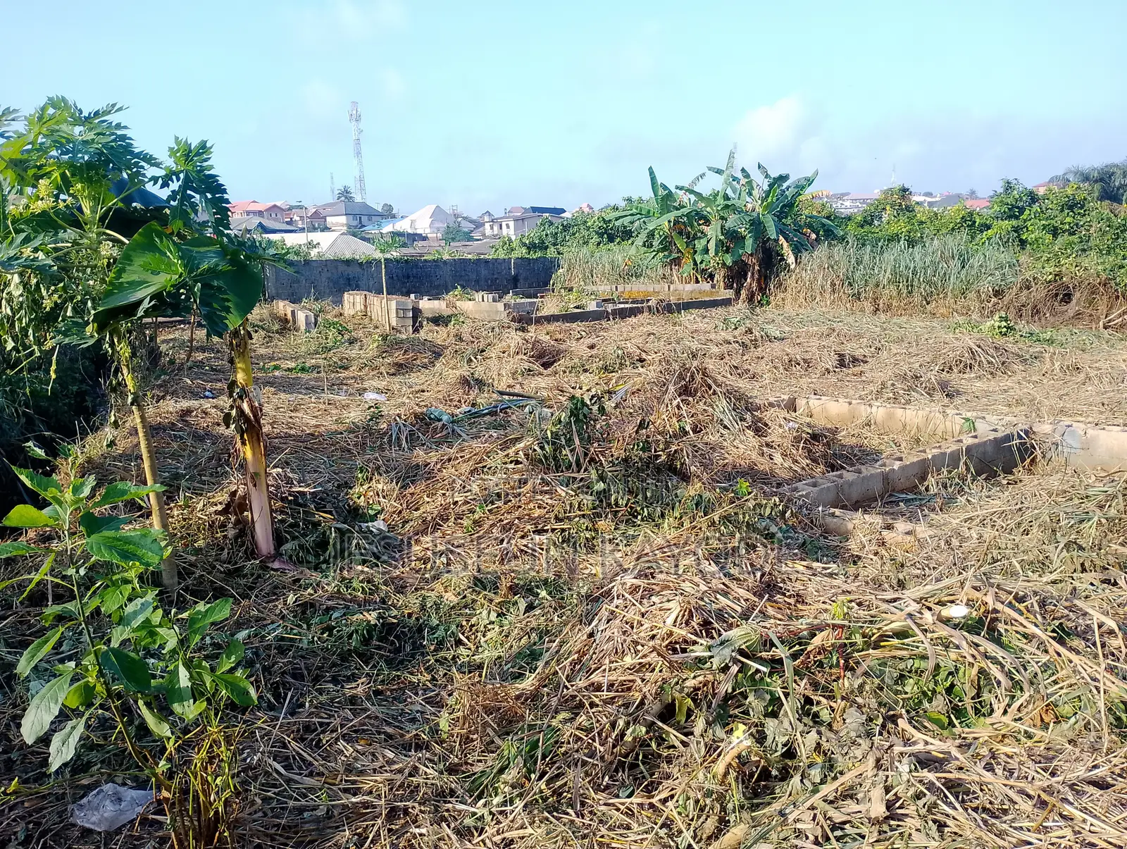 Full Plot of Land With Foundation