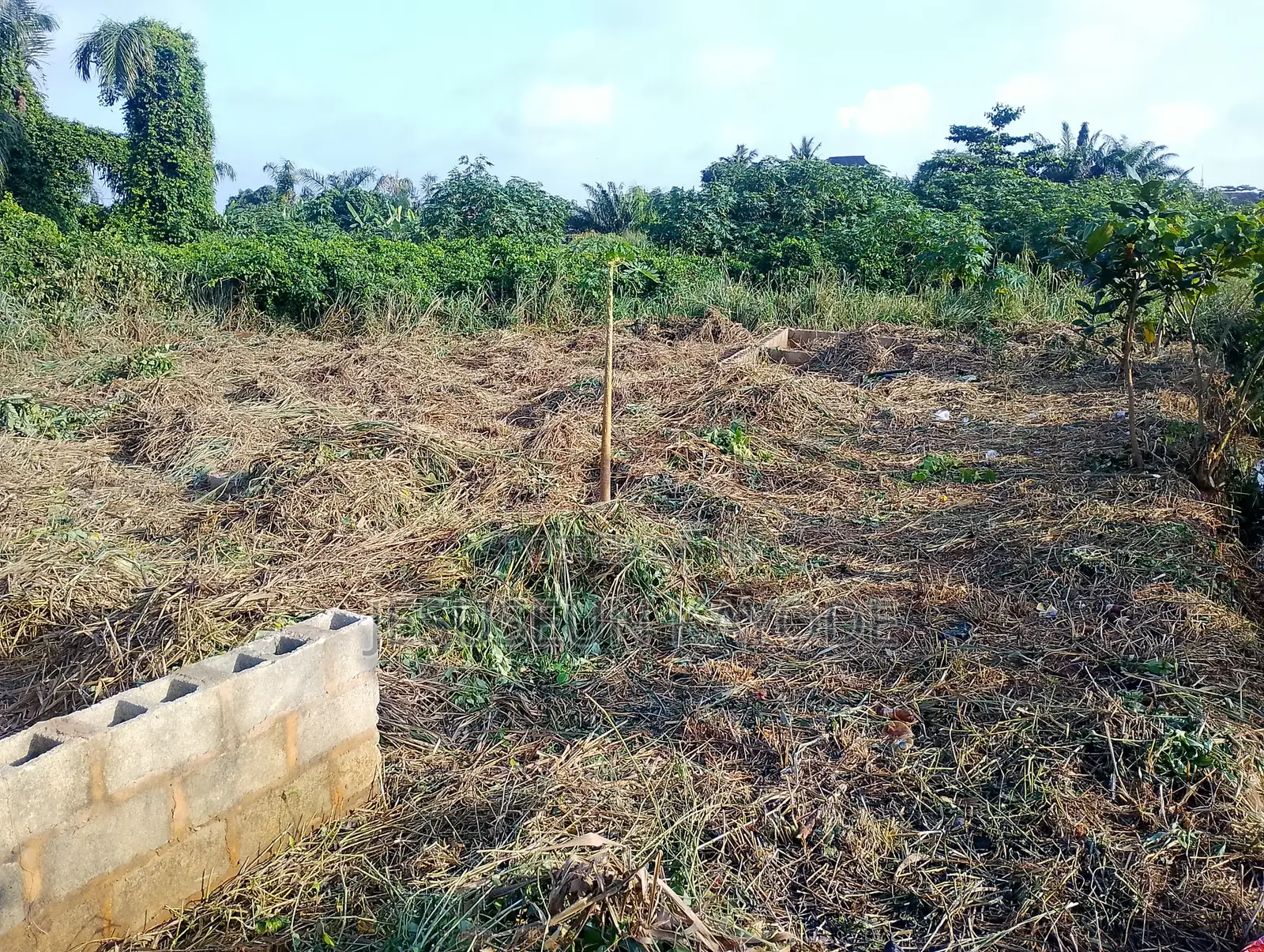 Full Plot of Land With Foundation