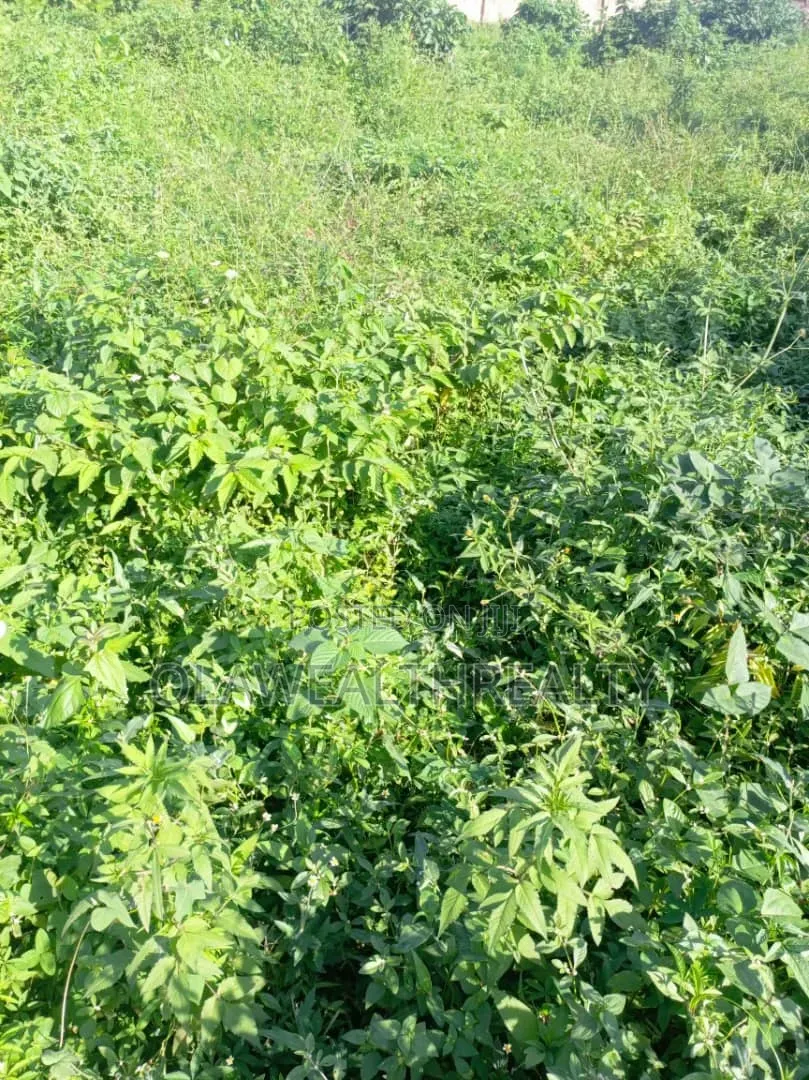 7,391sqm Prime Land at Garki 2