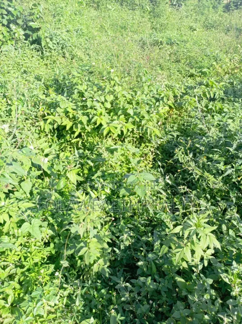 8,700sqm DISTRESS SALE Land at Guzape