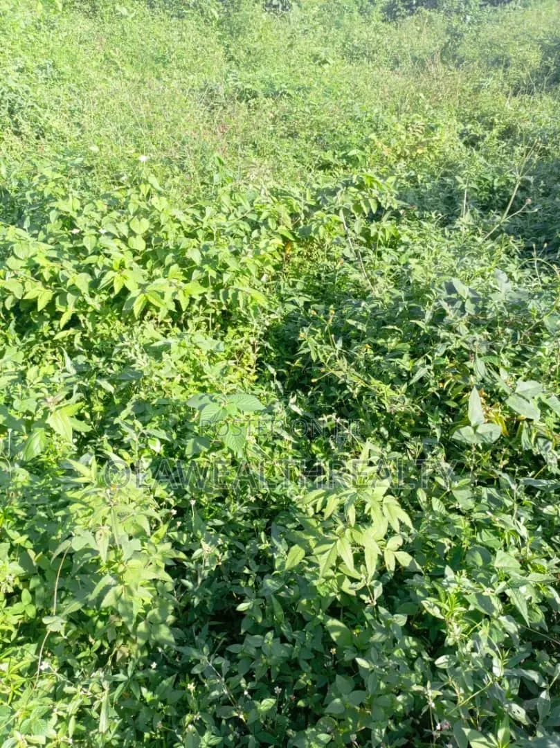 8,700sqm DISTRESS SALE Land at Guzape
