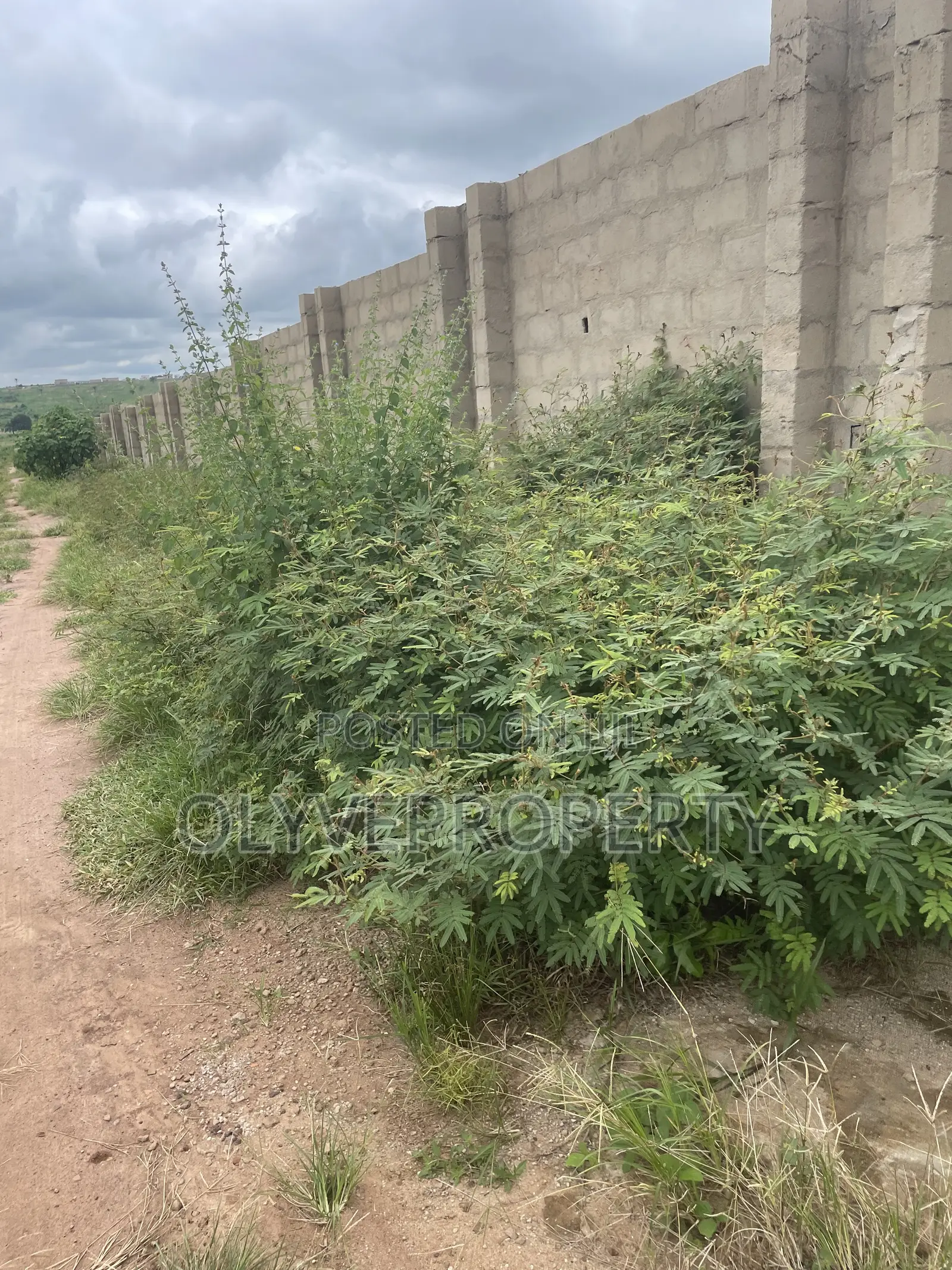 Genuine Plots of Land Available for Sale at ASABA