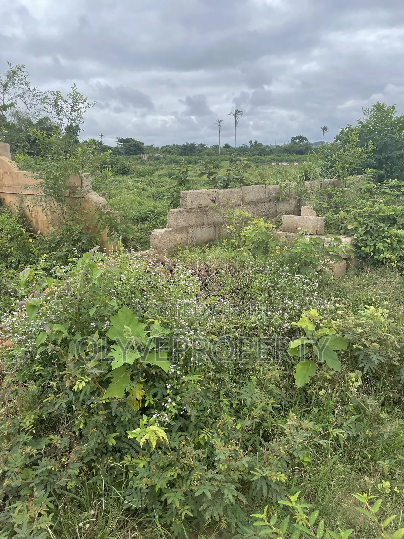 Genuine Plots of Land Available for Sale at ASABA