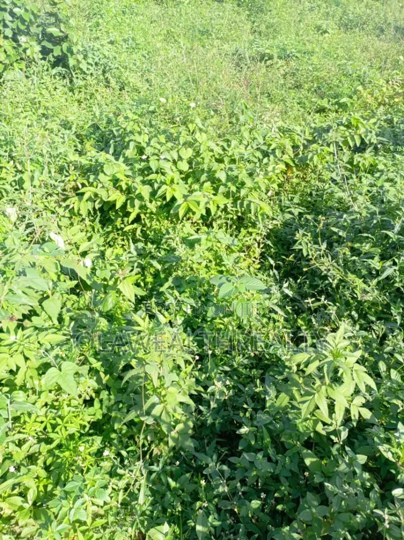 1,914sqm Residential Land at Guzape