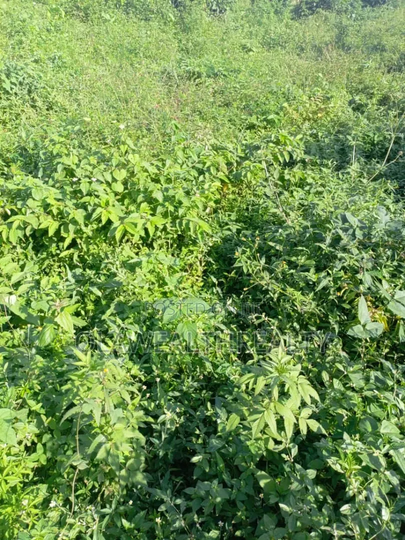 1,914sqm Residential Land at Guzape