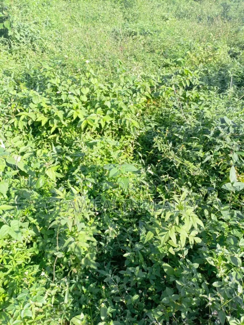10 Hectares of Land at Guzape 2