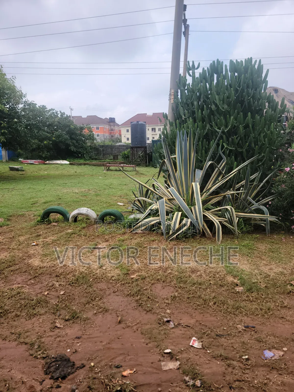 Car Stand for Sale