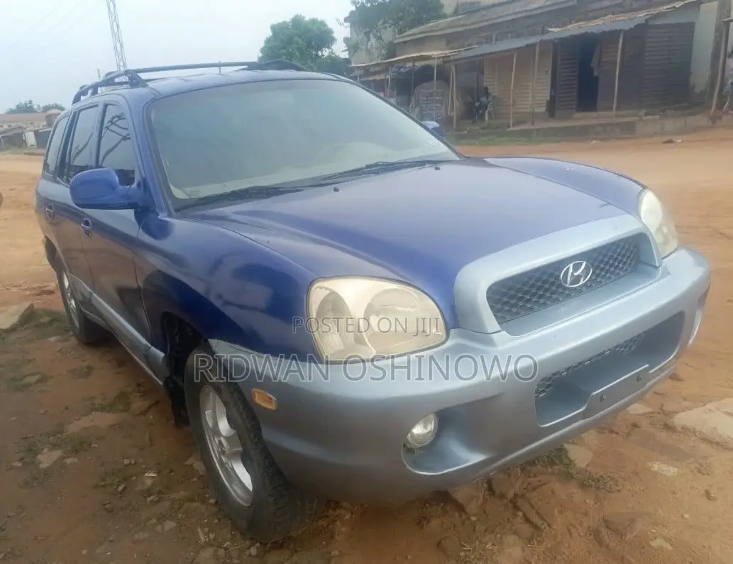 Hyundai Santa Fe 2004 Blue