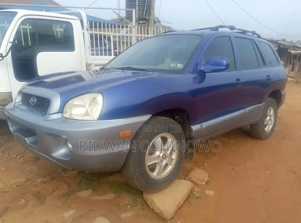 Hyundai Santa Fe 2004 Blue