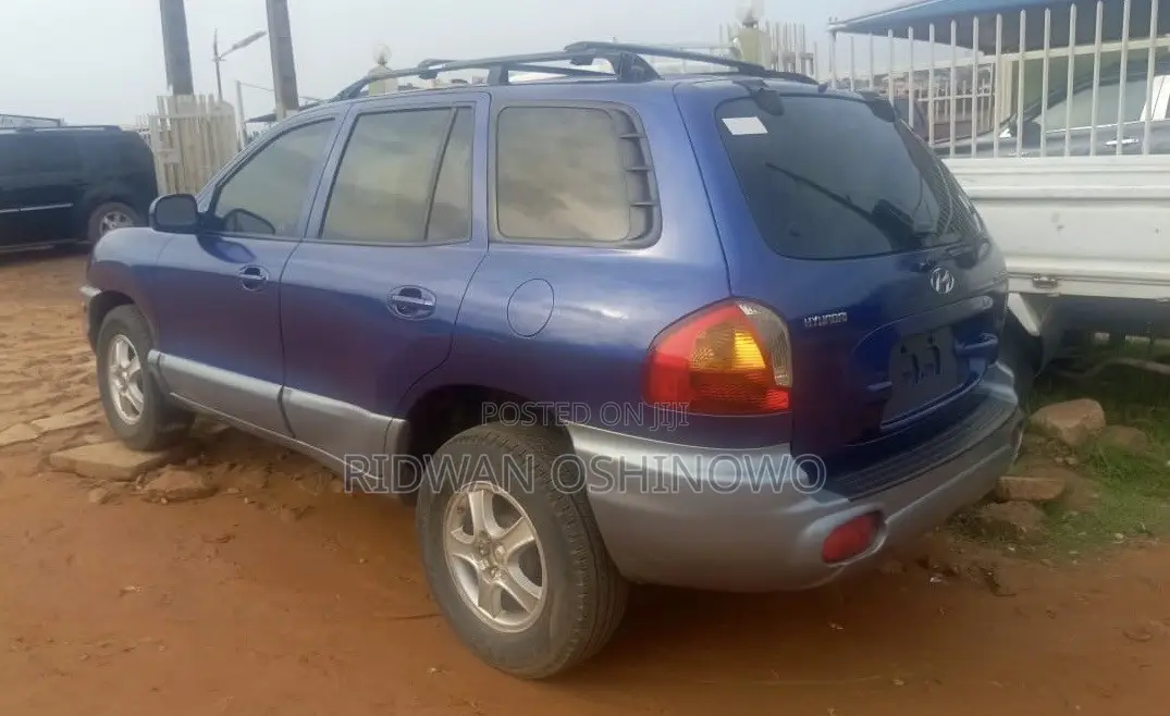 Hyundai Santa Fe 2004 Blue