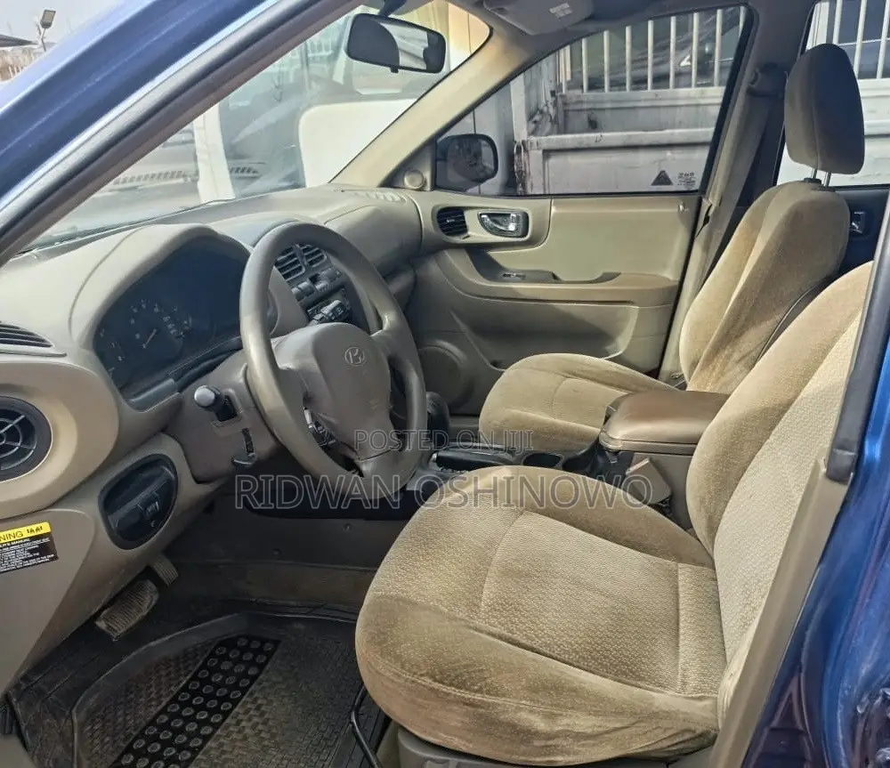 Hyundai Santa Fe 2004 Blue