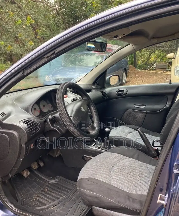 Peugeot 206 2004 Blue
