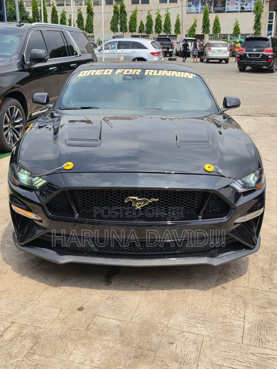 Ford Mustang 2023 Black