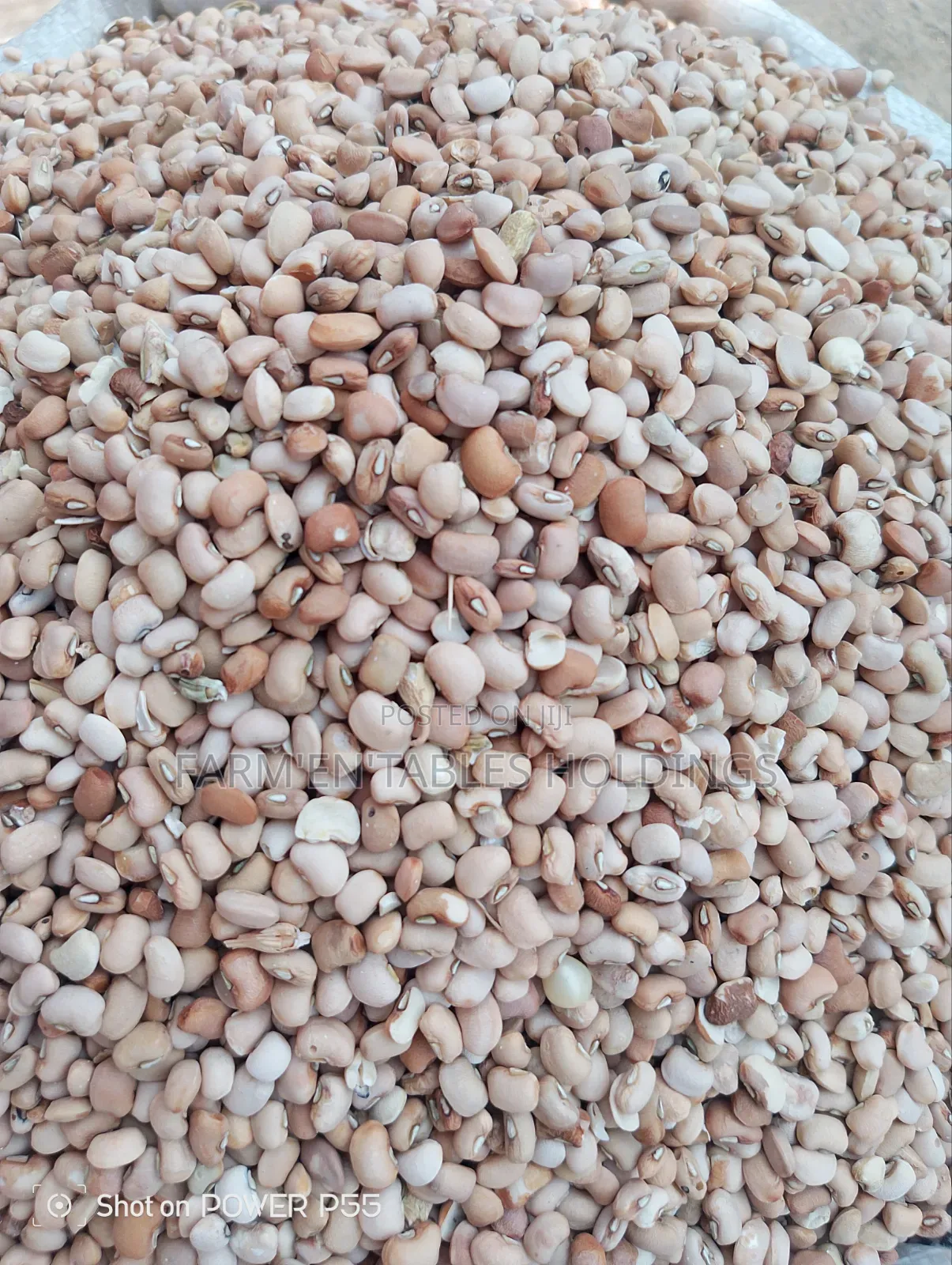 Honey Beans( Oloyin)