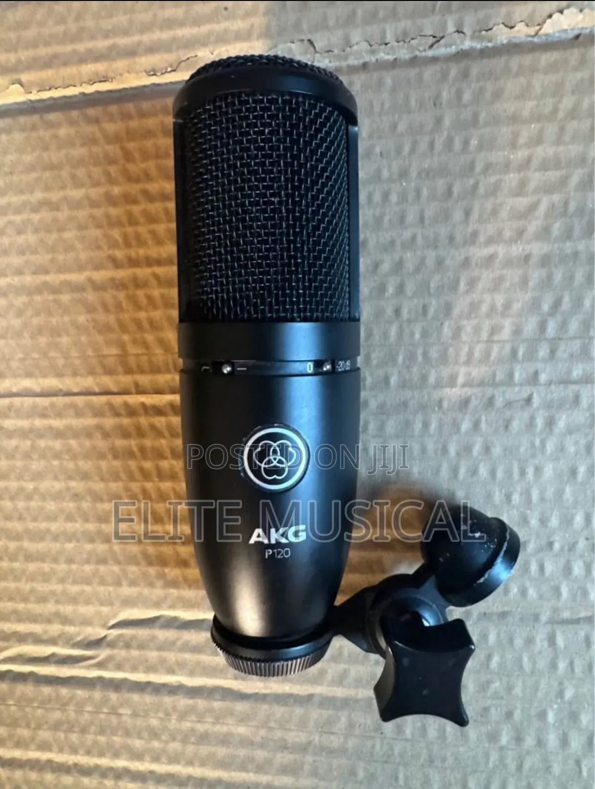 AKG P120 Condenser Microphone