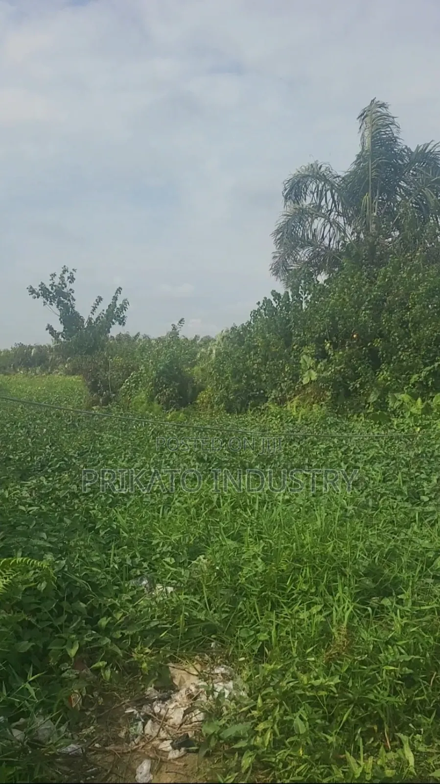 A Plot of Land for Sell