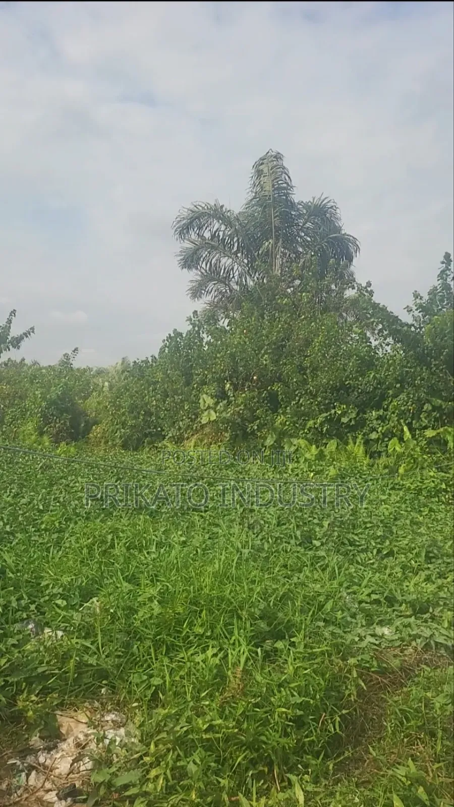 A Plot of Land for Sell