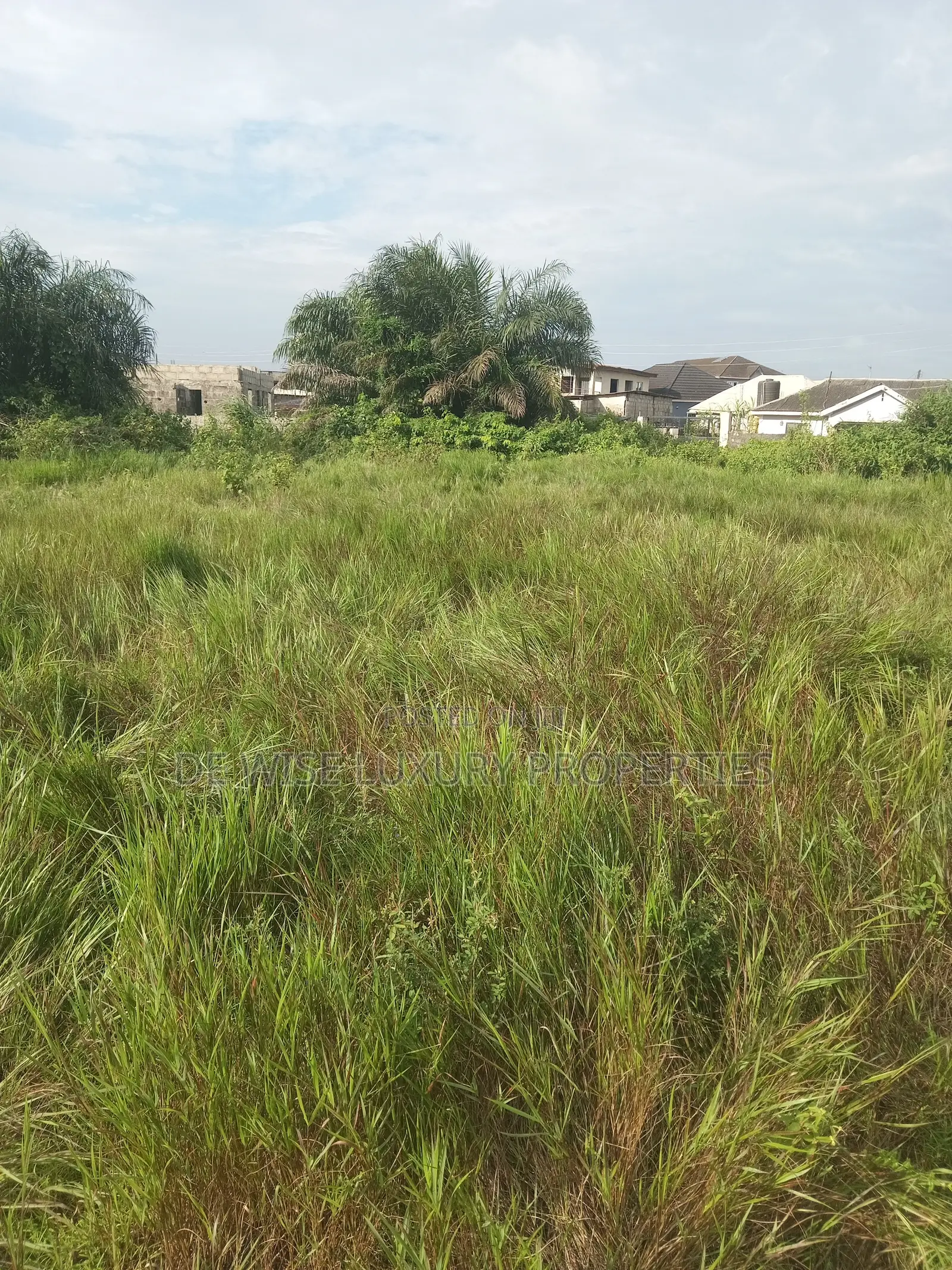 Residential Land in Lagasa Losoro Lakowe Lagos