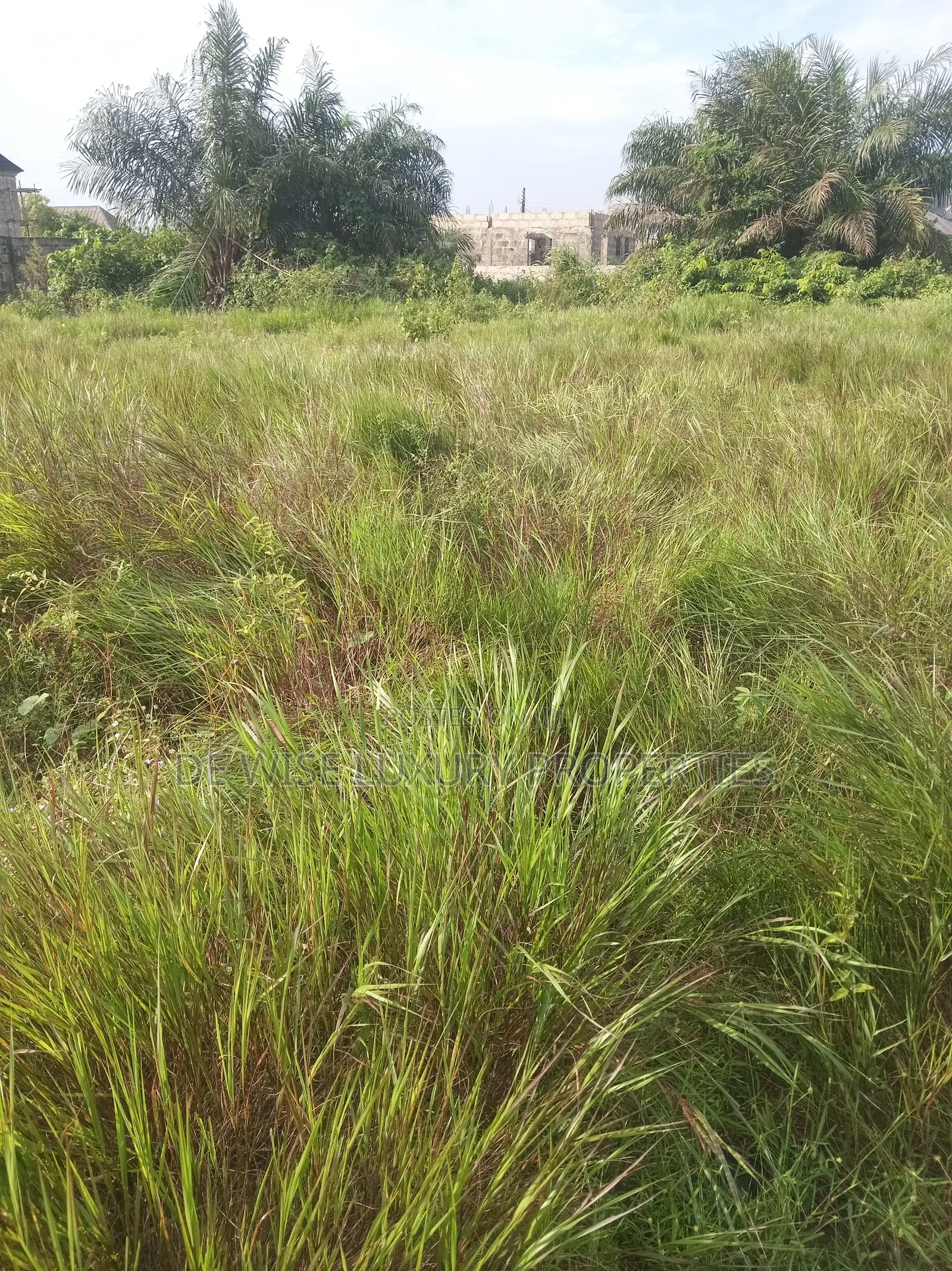 Residential Land in Lagasa Losoro Lakowe Lagos