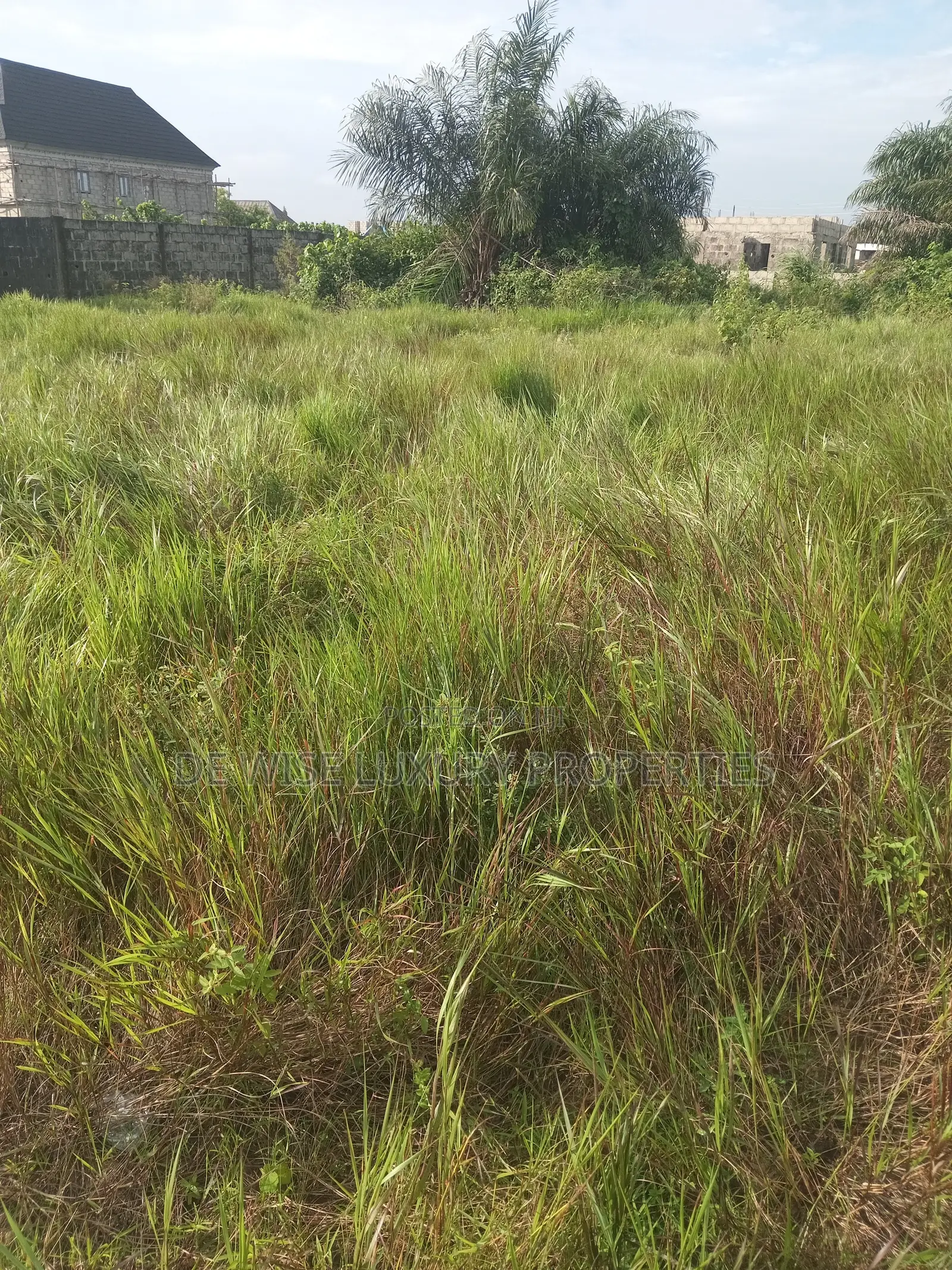 Residential Land in Lagasa Losoro Lakowe Lagos